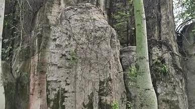 岩石拍摄实拍自然风光树木视频的预览图